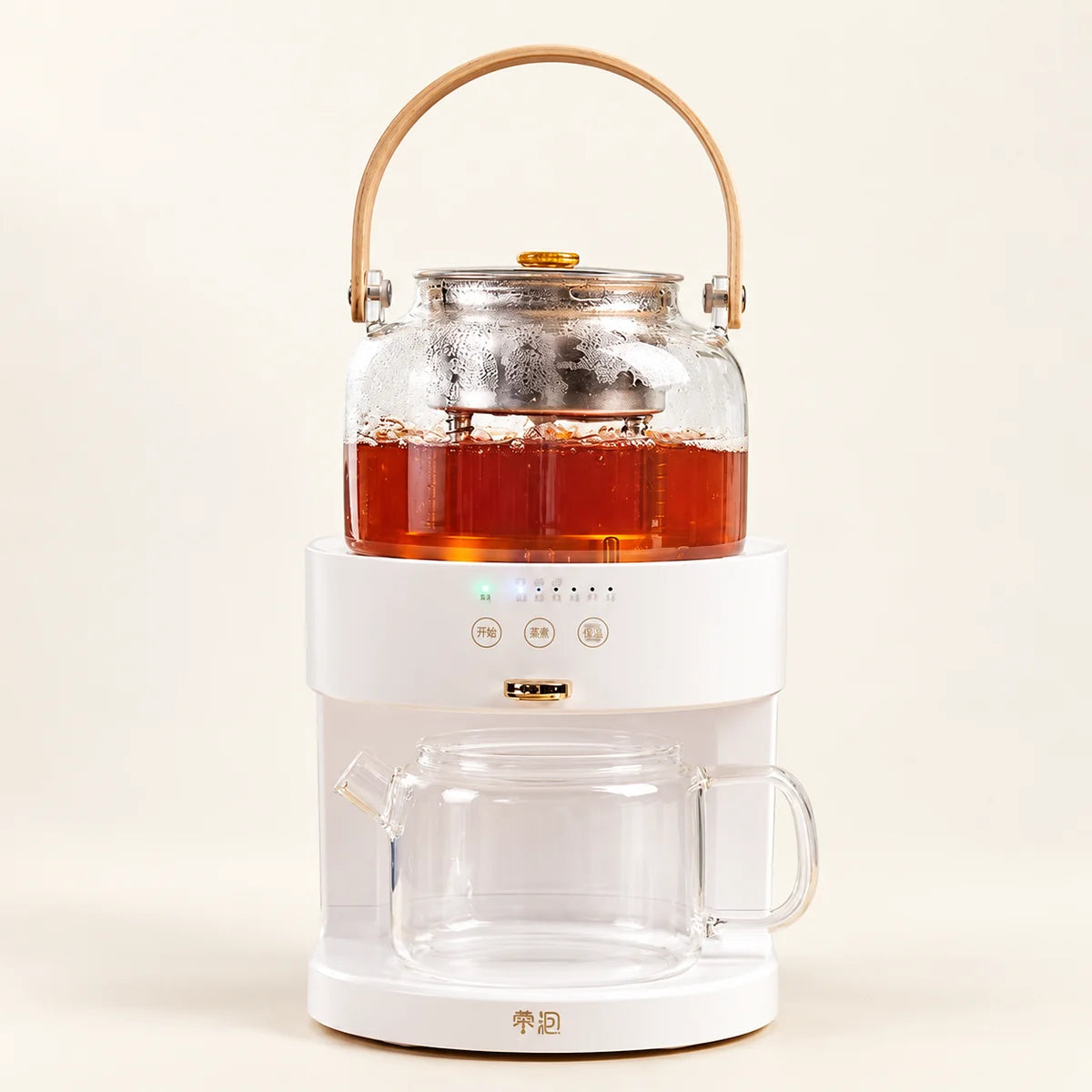 Automatic Steam Tea Brewer — 220V on a warm ivory studio background