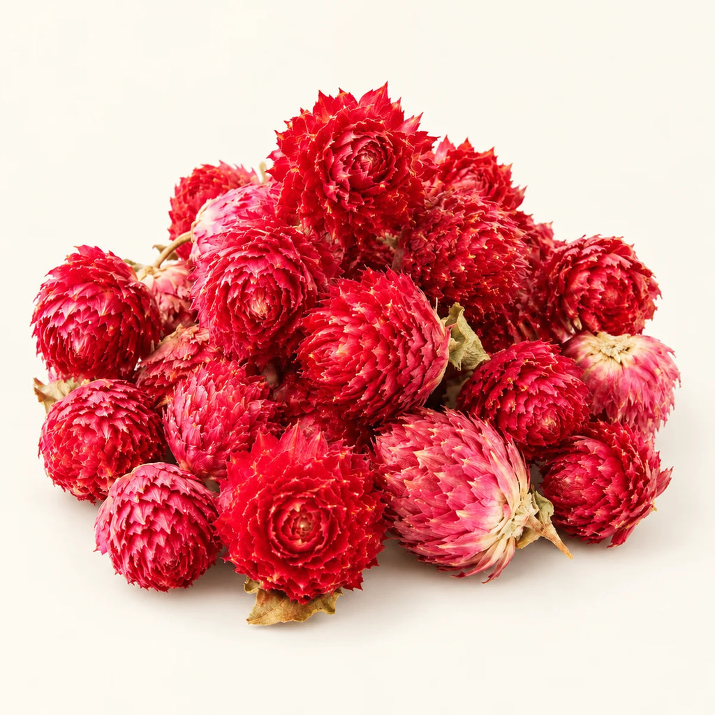 Dried Amaranth Flowers — 50g on a warm ivory studio background