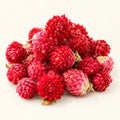 Dried Amaranth Flowers — 50g on a warm ivory studio background