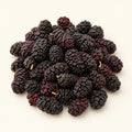 Dried Black Mulberries — 50g on a warm ivory studio background