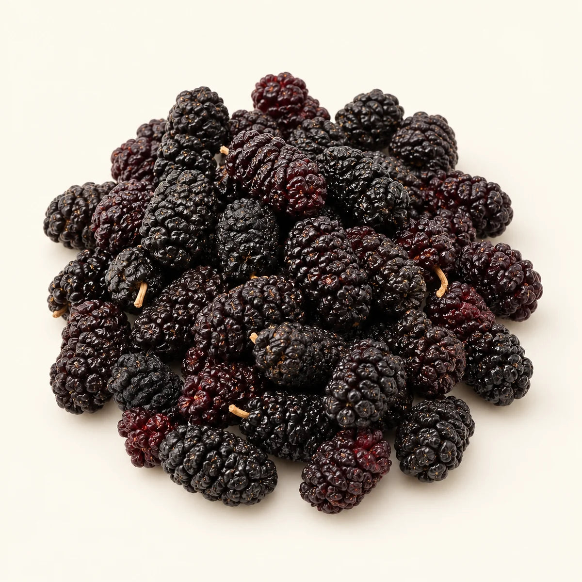 Dried Black Mulberries — 50g on a warm ivory studio background