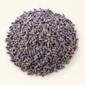 Dried Lavender Flowers — 50g on a warm ivory studio background