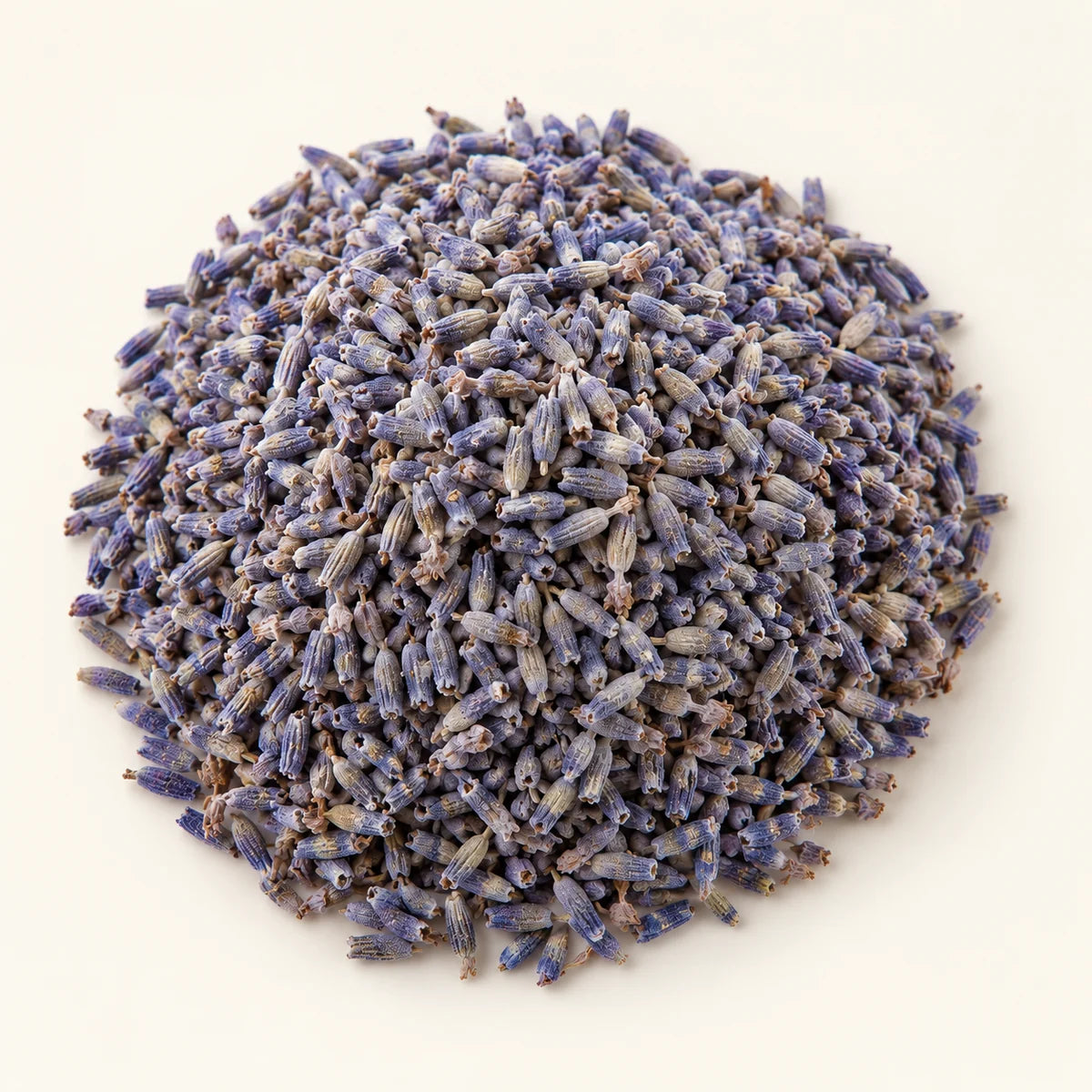Dried Lavender Flowers — 50g on a warm ivory studio background