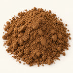 Hojicha Roasted Tea Powder — 3 oz on a warm ivory studio background