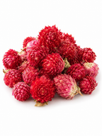 Dried Amaranth Flowers — 50g