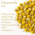 Chamomile Flower Tea — 20g